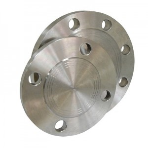 Plate flat welding flange stainless steel flange fitting pipe flange