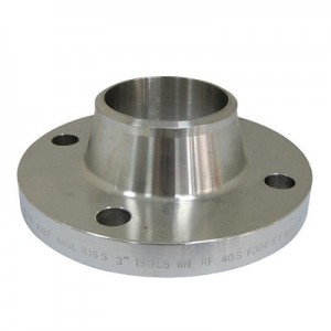 ASTM A182 F316 SS Weld Neck Flange Fitting Pipe Flange Weld Neck Flanges