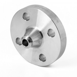 Stainless Steel  WN RF Flange