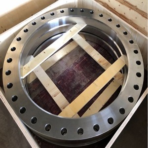 Stainless steel duplex flange