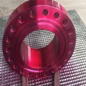 Stainless steel duplex flange