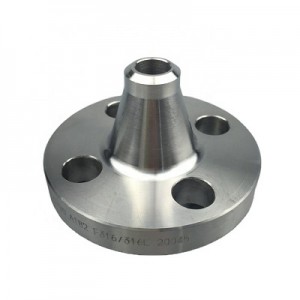 ASTM A182 F316 SS Weld Neck Flange Fitting Pipe Flange Weld Neck Flanges