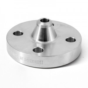 Stainless Steel  WN RF Flange