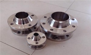 2205 WN RF Flange DN150 PN16 S32205 Flange