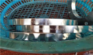 2205 WN Table D Table E Flange Stainless steel 2205 as2129 PN10  plate flange