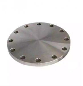 316 Stainless Steel Blind Flanges Forged Flanges 600#