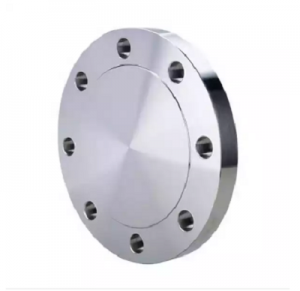 316 Stainless Steel Blind Flanges Forged Flanges 600#