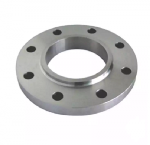 Stainless Steel WN Flange